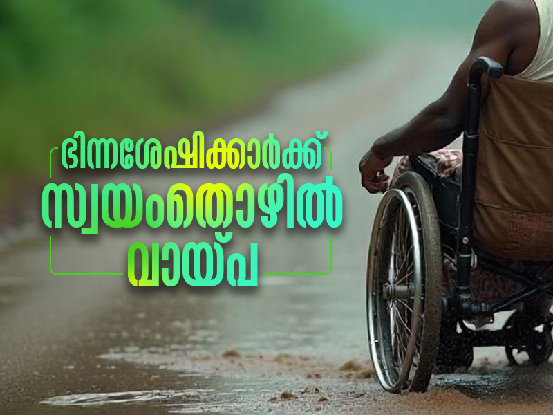 Self-employment loan for differently-abled people who cannot provide collateral